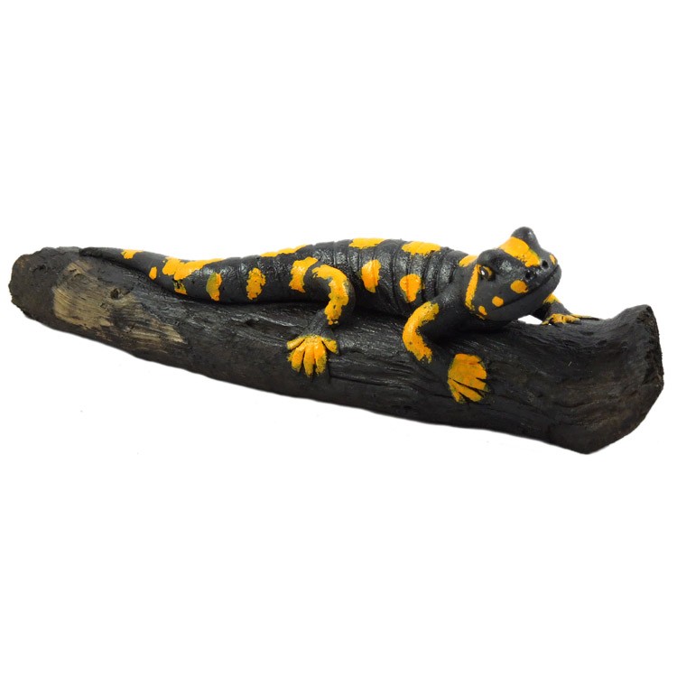 Salamander liegend schwarz-gelb