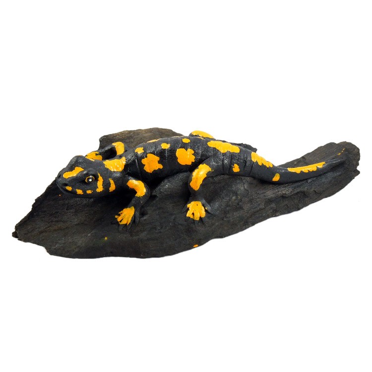 Salamander liegend schwarz-gelb