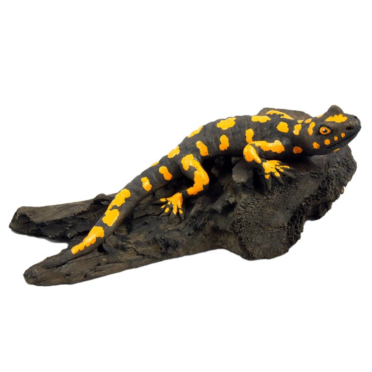 Salamander liegend schwarz-gelb
