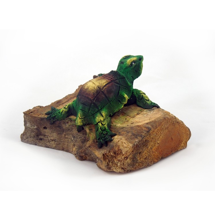 Schildkröte braun
