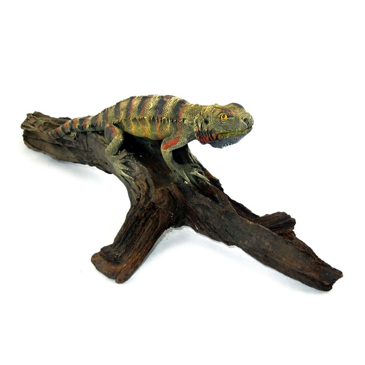 Bartagame liegend grün 
