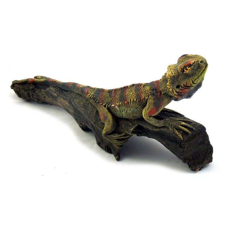 Bartagame liegend grün