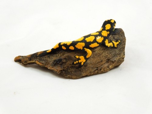 Salamander Miniatur