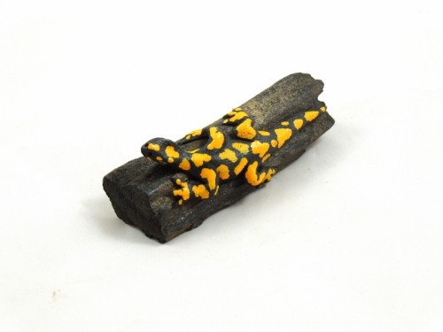 Salamander Miniatur