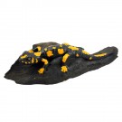 Salamander liegend schwarz-gelb