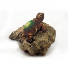 Schildkröte grün