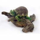 Schildkröte groß braun