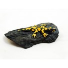 Salamander Miniatur